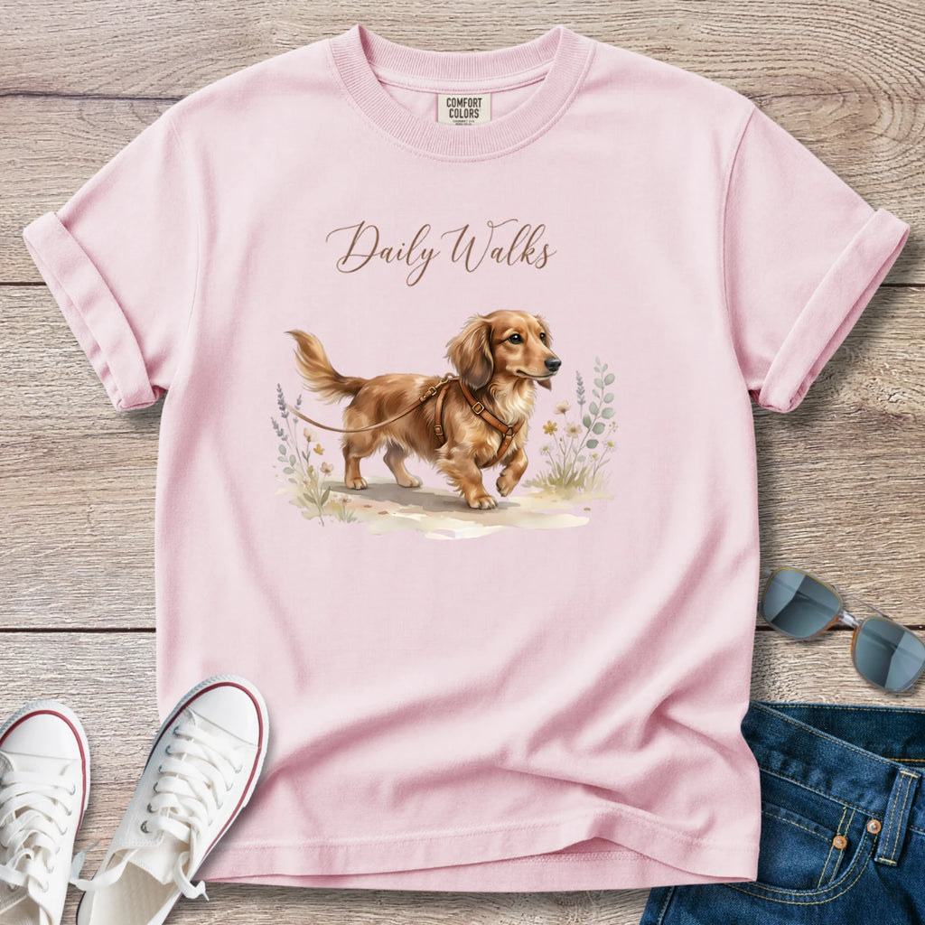 Dachshund Daily Walks Longhaired