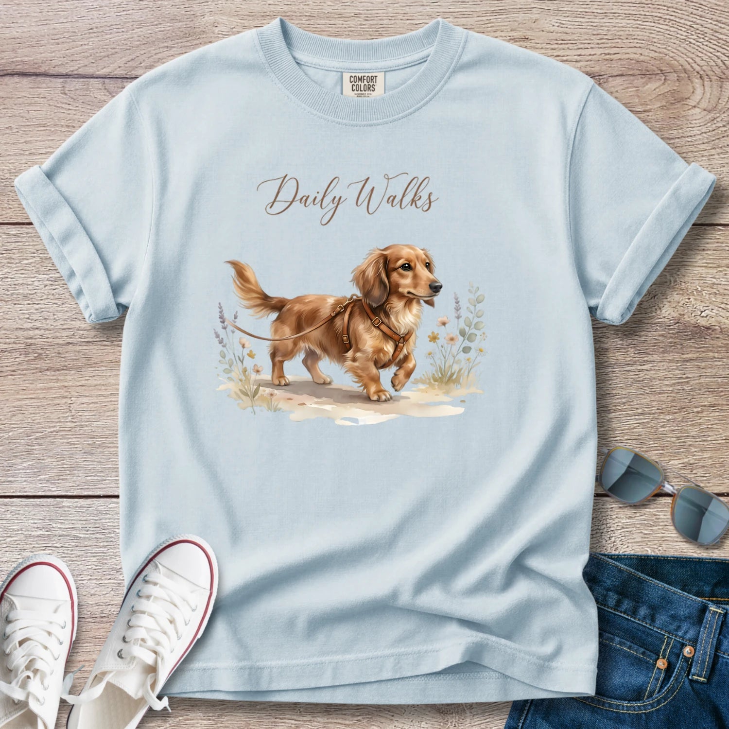 Dachshund Daily Walks Longhaired