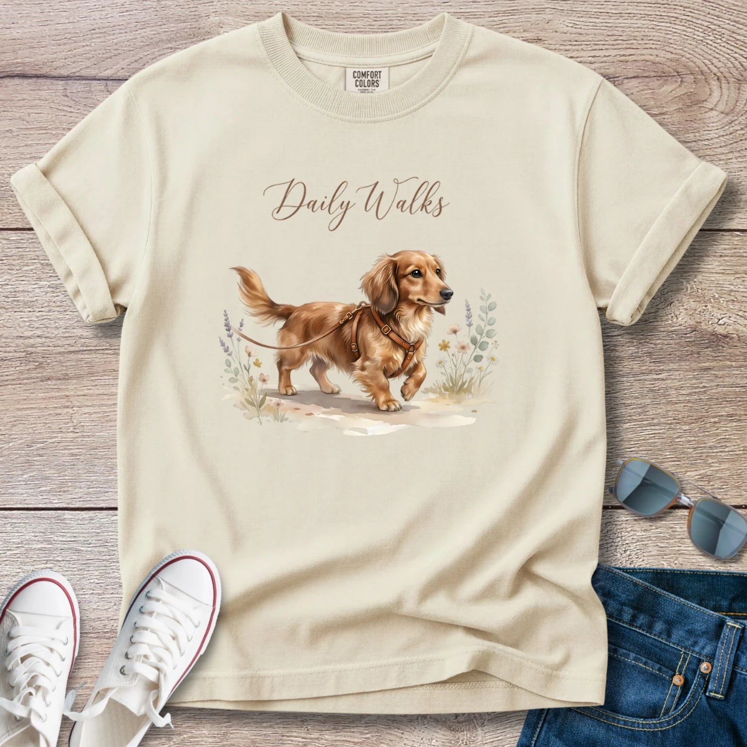 Dachshund Daily Walks Longhaired