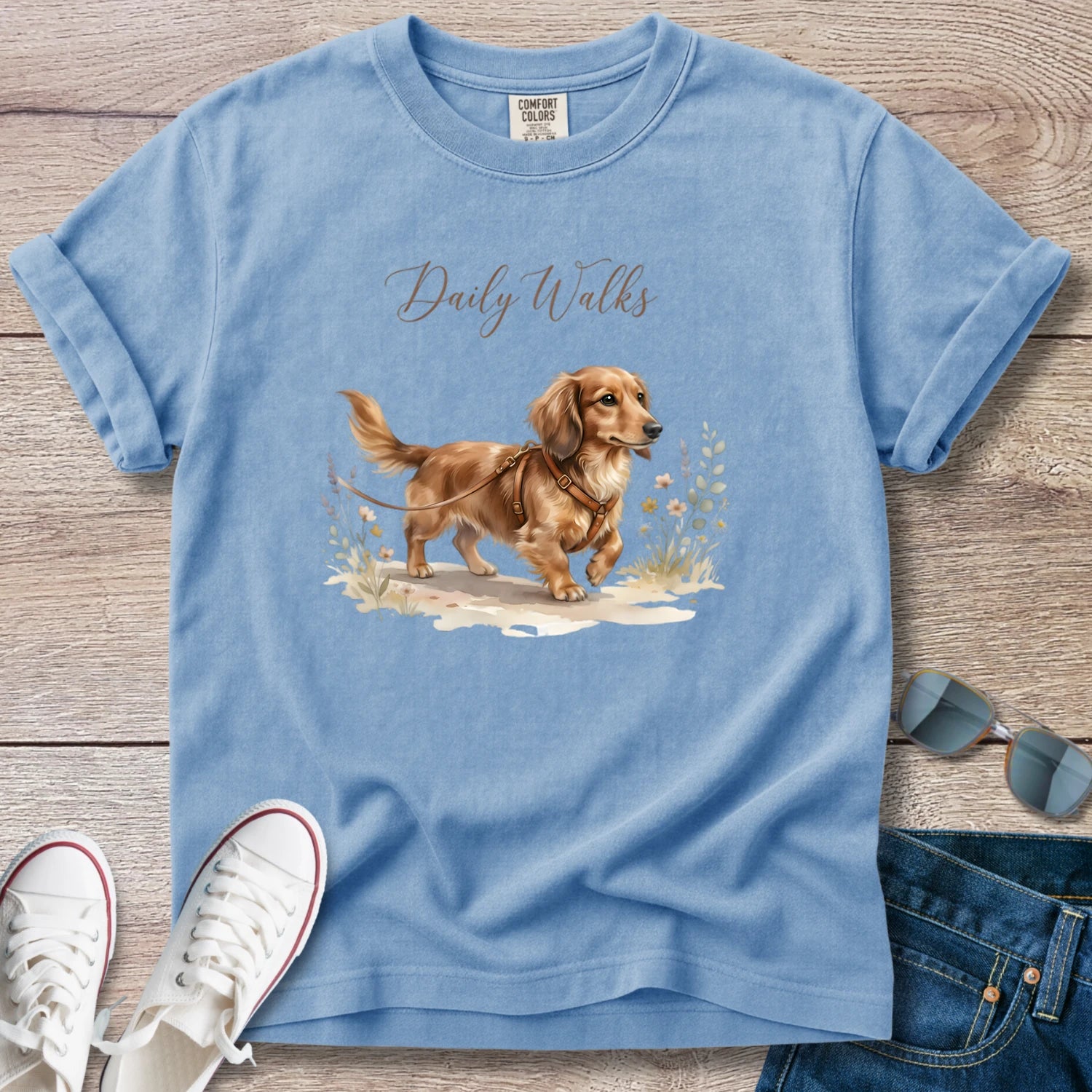 Dachshund Daily Walks Longhaired