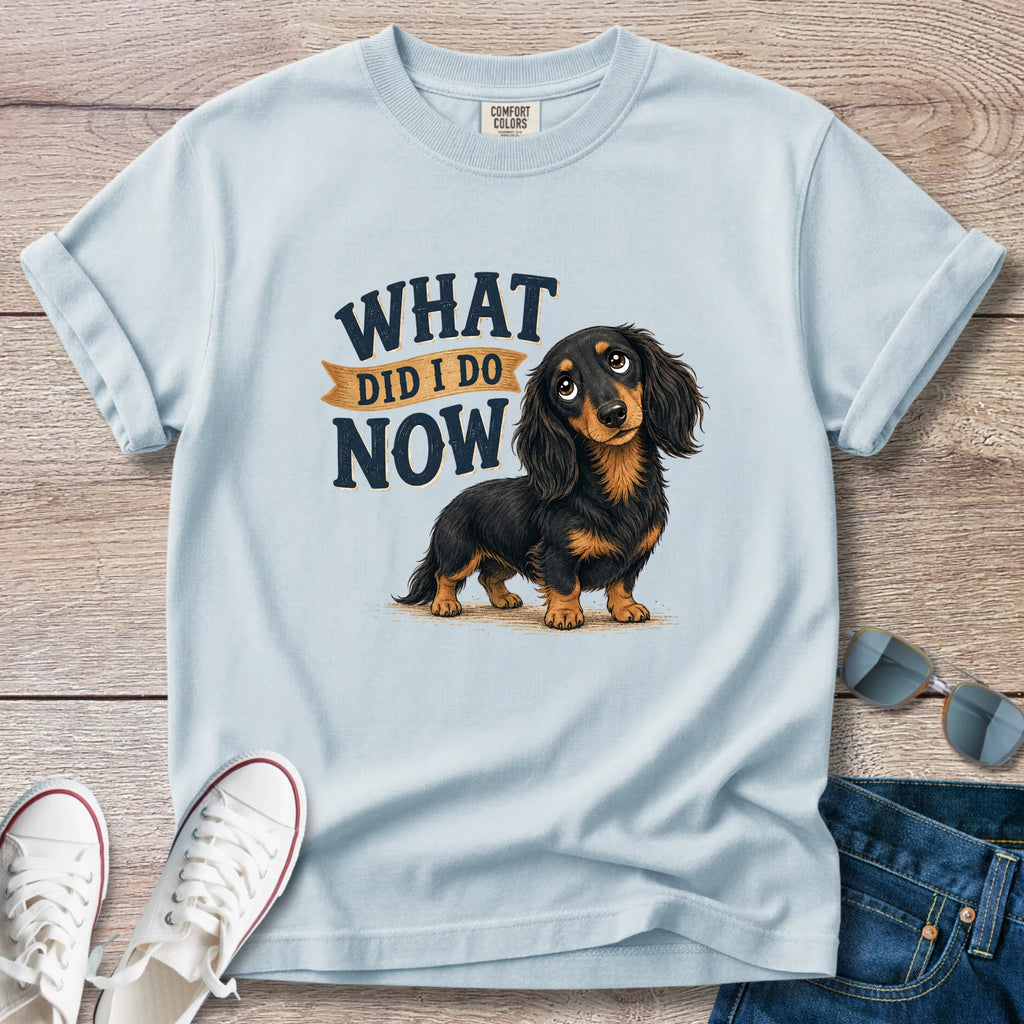 What Did I Do Now -Dachshund T-Shirt