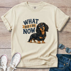 What Did I Do Now -Dachshund T-Shirt