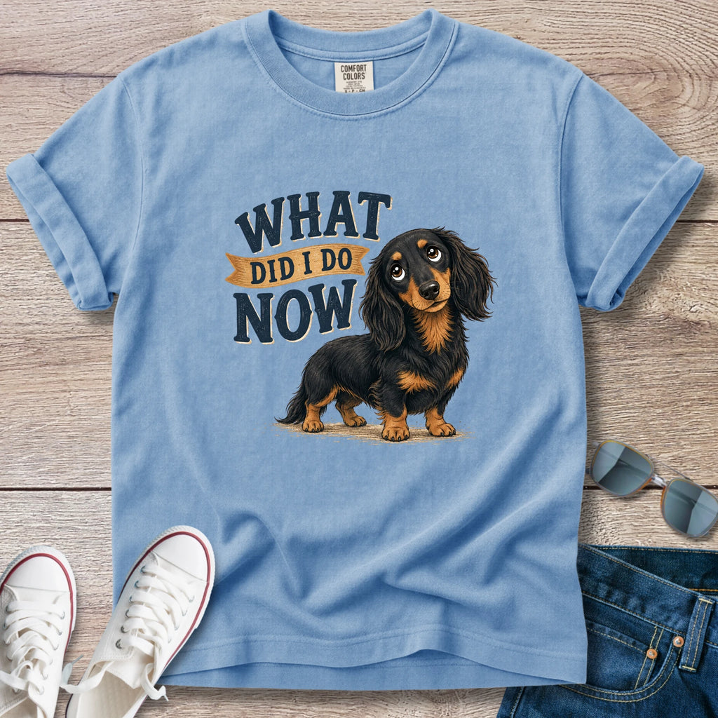 What Did I Do Now -Dachshund T-Shirt