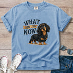 What Did I Do Now -Dachshund T-Shirt