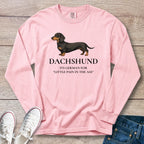 Dachshund – It’s German for… Long Sleeve T-Shirt