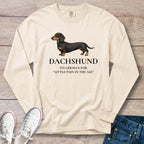 Dachshund – It’s German for… Long Sleeve T-Shirt