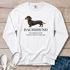 Dachshund – It’s German for… Long Sleeve T-Shirt