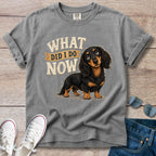 What Did I Do Now -Dachshund T-Shirt