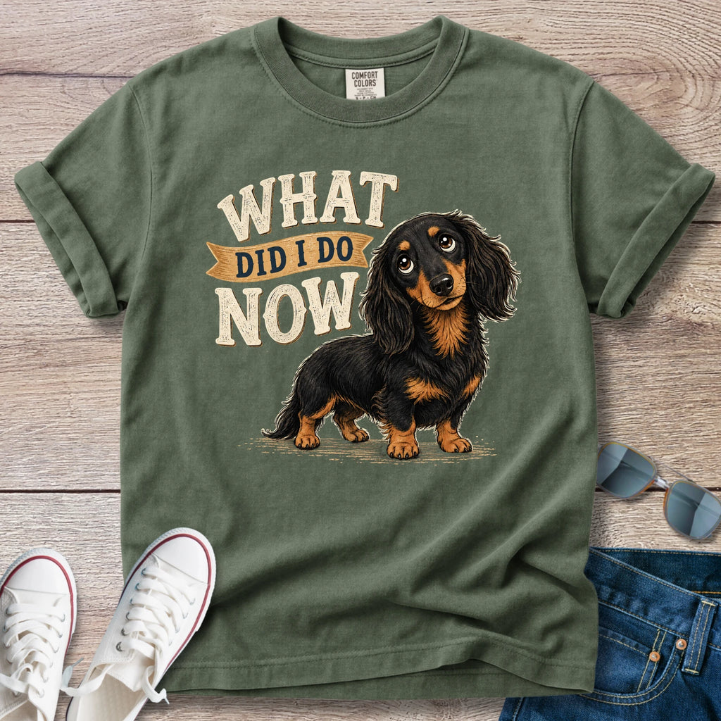 What Did I Do Now -Dachshund T-Shirt
