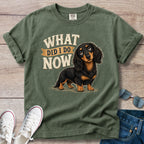 What Did I Do Now -Dachshund T-Shirt