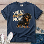 What Did I Do Now -Dachshund T-Shirt