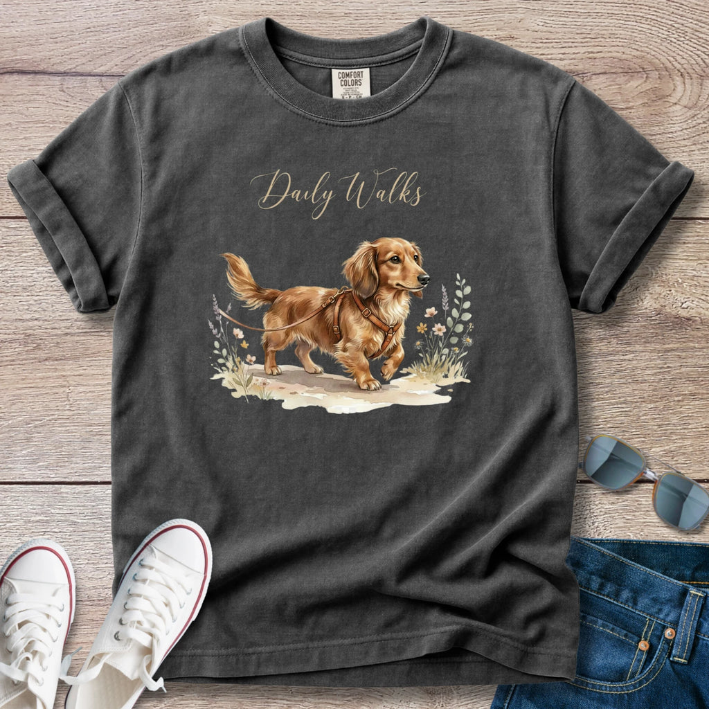 Dachshund Daily Walks Longhaired